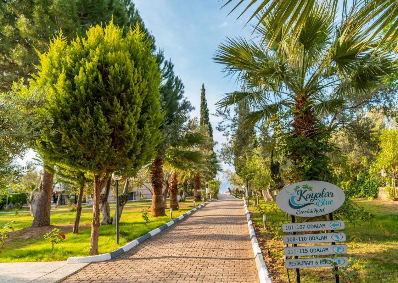 Kayalar Blue Beach Hotel Sazlı Exteriör bild