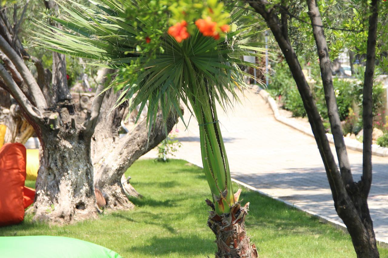 Kayalar Blue Beach Hotel Sazlı Exteriör bild