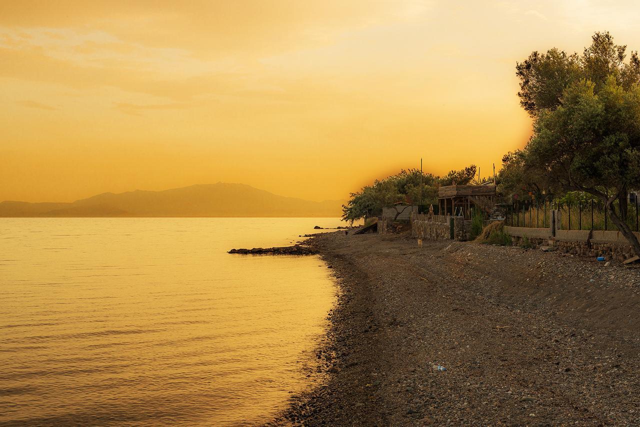 Kayalar Blue Beach Hotel Sazlı Exteriör bild
